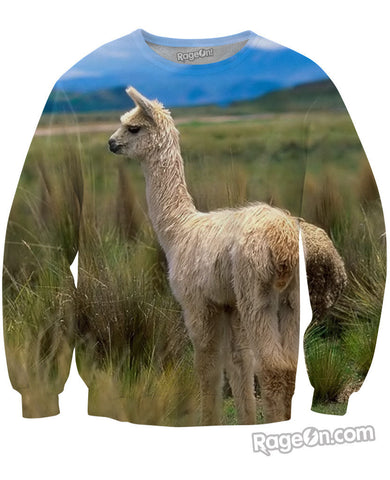 Alpaca Sweatshirt