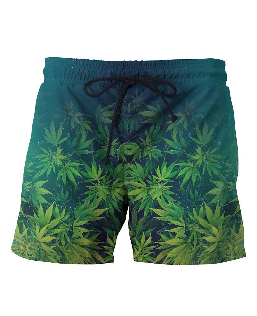Jane Boardshorts *Ready to Ship*
