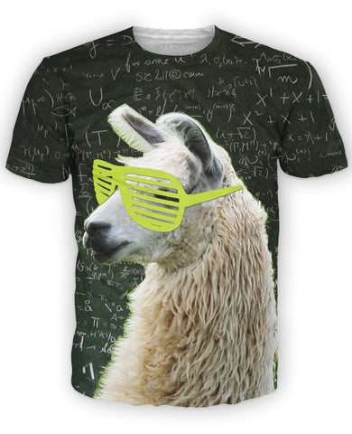 Llamathematics T-Shirt