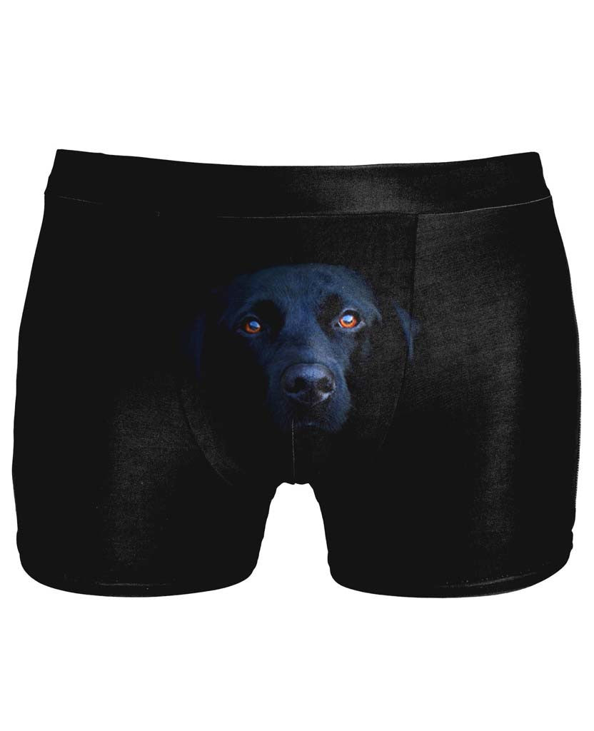 Dog Underwear